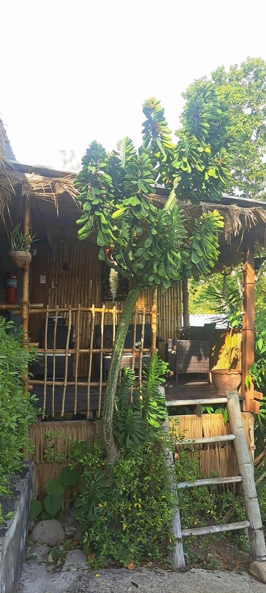 Siam Flora Resort Ko Lanta Kamer foto